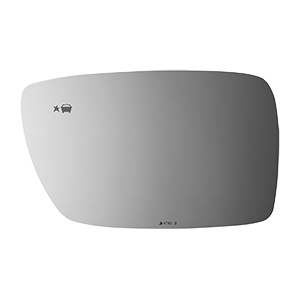 SIDE VIEW MIRROR W BLIND SPOT